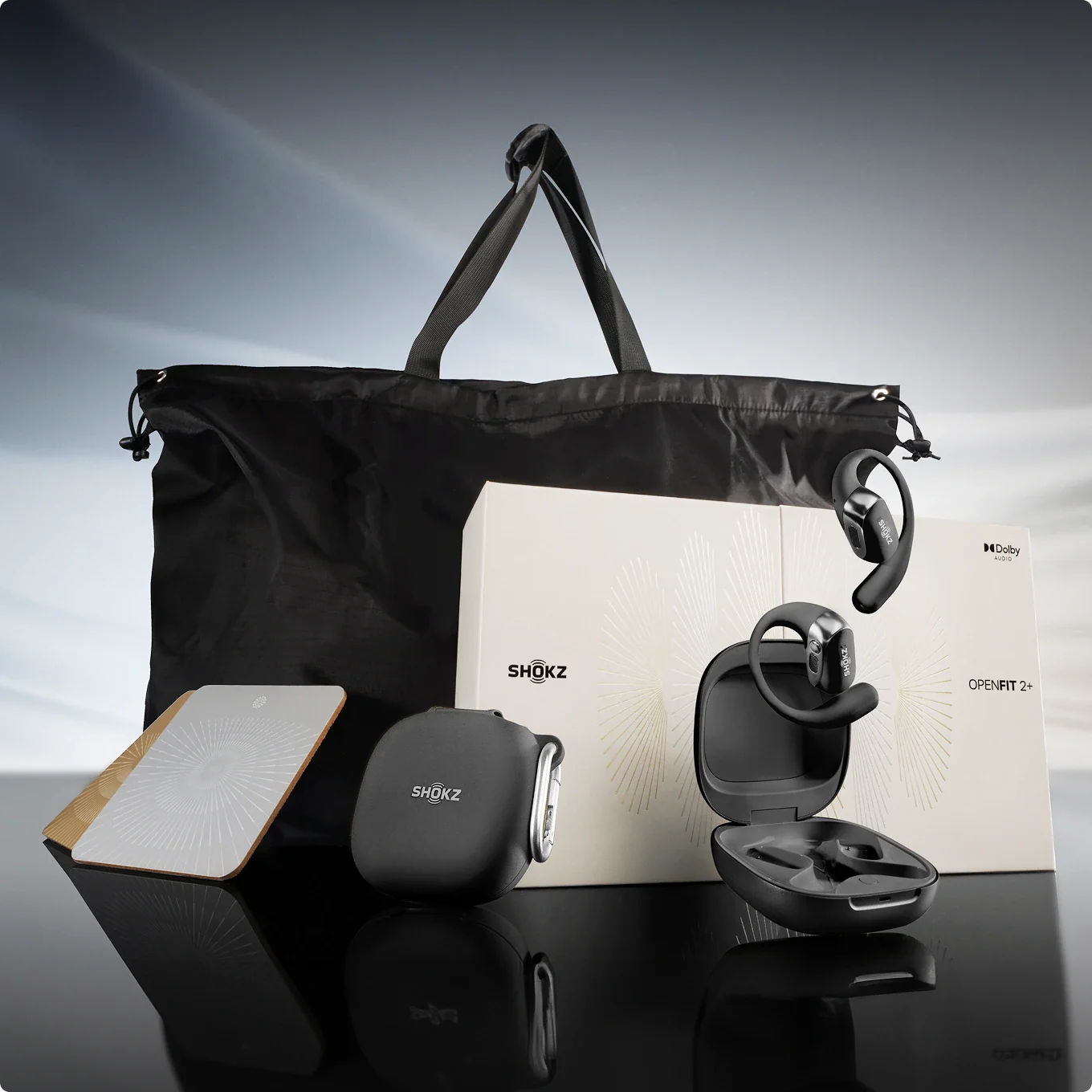 OpenFit 2+ - Image 13
