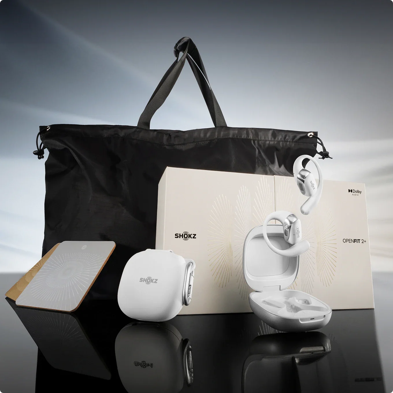 OpenFit 2+ - Image 19